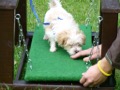 Bild 12